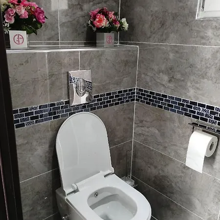 Angelina モンテヴラン